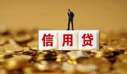 东莞10哪有个人借贷-东莞10小额贷款公司-东莞10私借空放免费上门