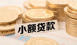 东莞10身份证贷款平台-东莞10私人借贷不查征信-东莞10空放借钱